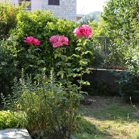 With Parking Space Trpanj, Peljesac - 10131 *