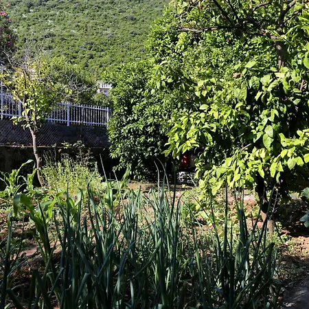 With Parking Space Trpanj, Peljesac - 10131 Trpanj