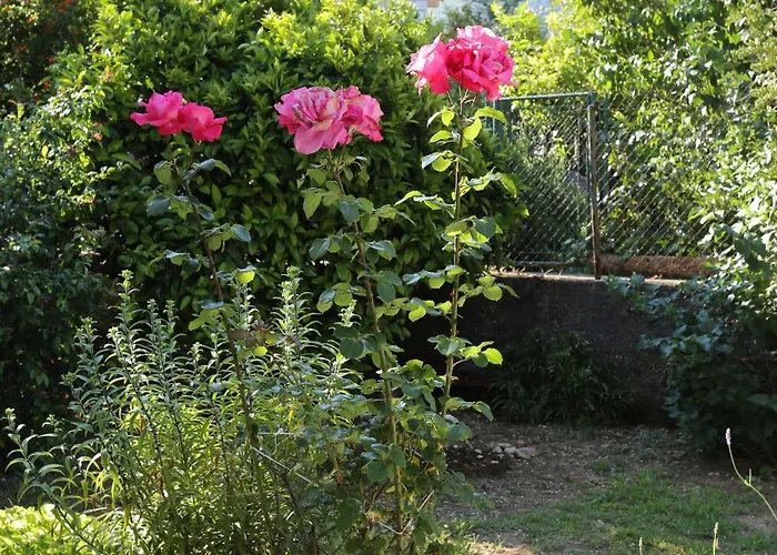 With Parking Space Trpanj, Peljesac - 10131 *