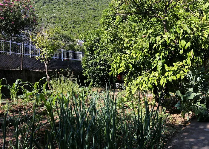 With Parking Space Trpanj, Peljesac - 10131 Trpanj